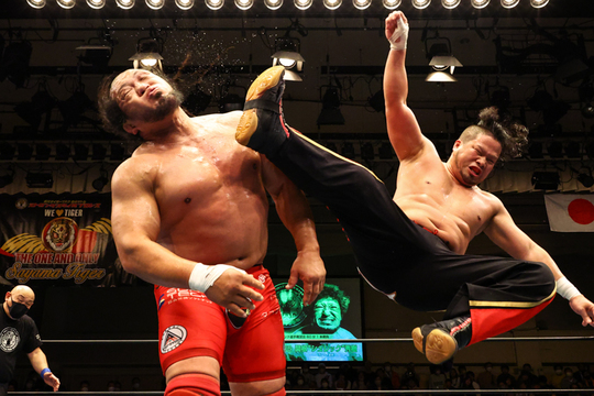 レジェンドプロレスラー　3体セット レジェンドマスターズストア