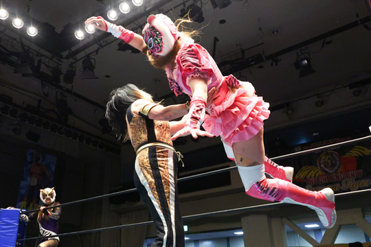 20241205プロレス - 初代タイガーマスク後援会|佐山サトル&ストロング